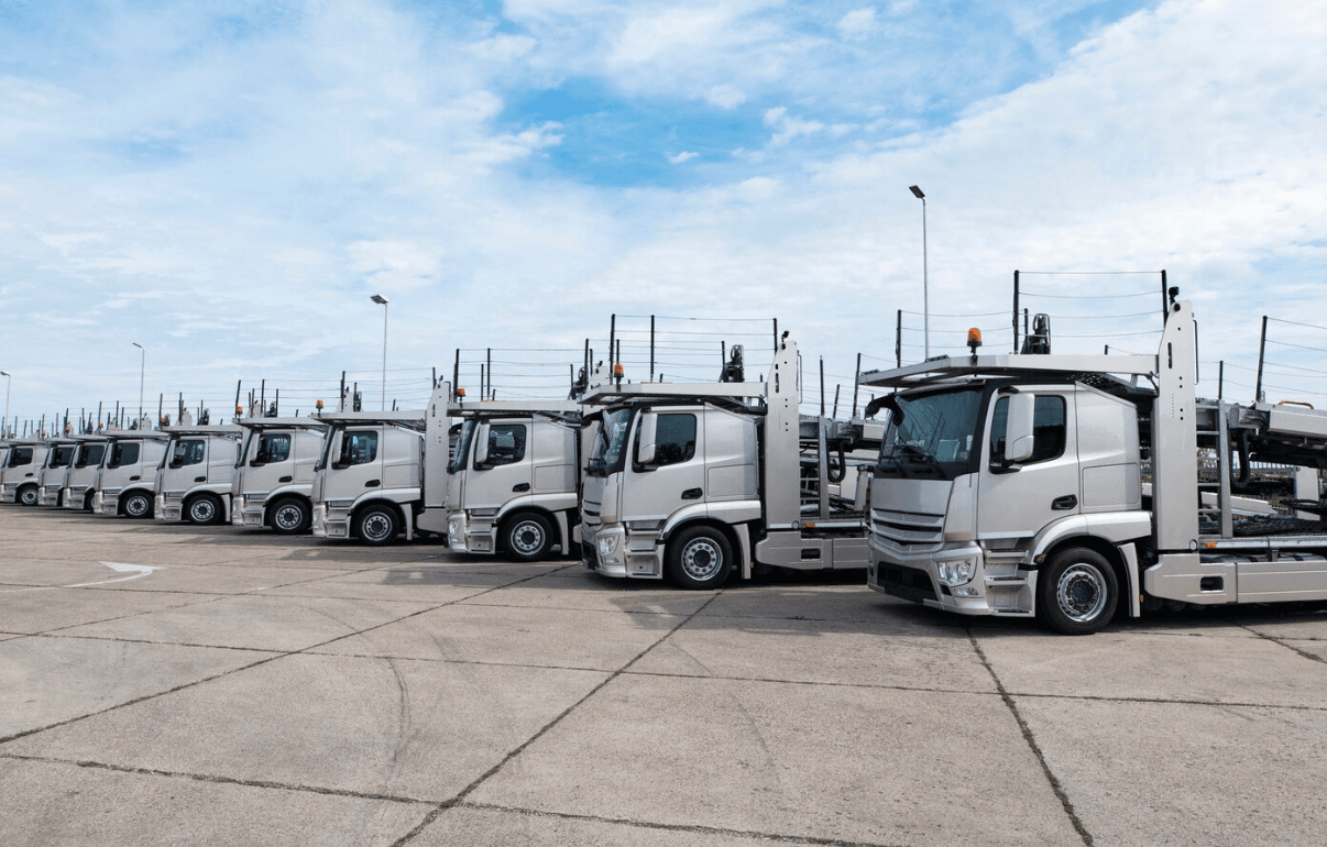 Land Transportation